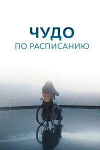 Чудо по расписанию (1 сезон)